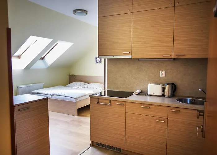 アパート Vendelin ボイニツェ