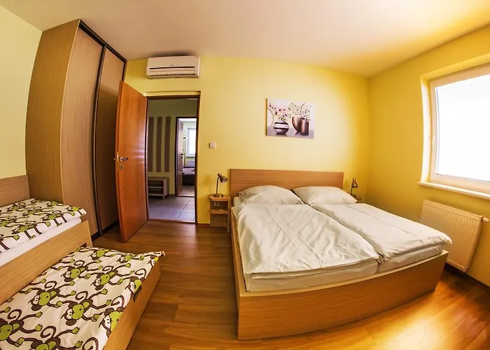 Vendelin בויניצה