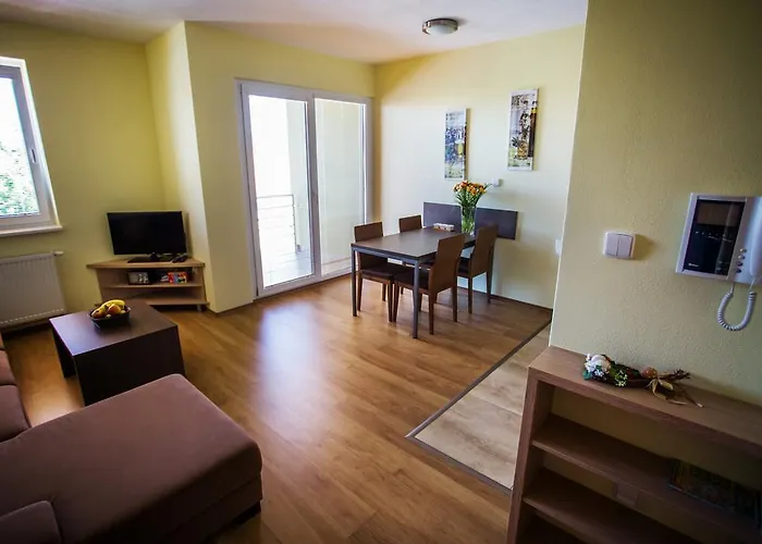 Vendelin בויניצה