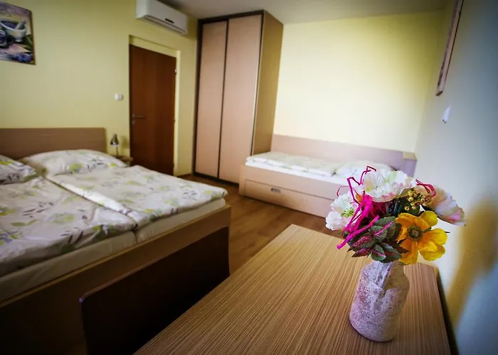 Vendelin בויניצה