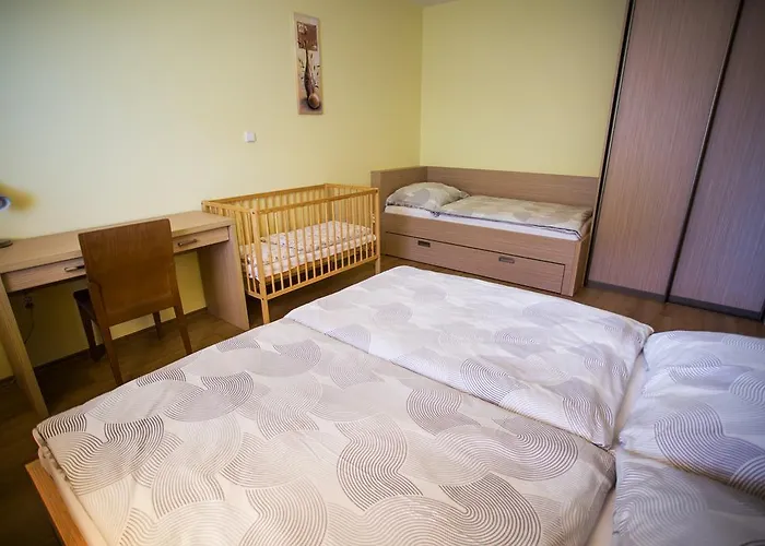 Vendelin בויניצה