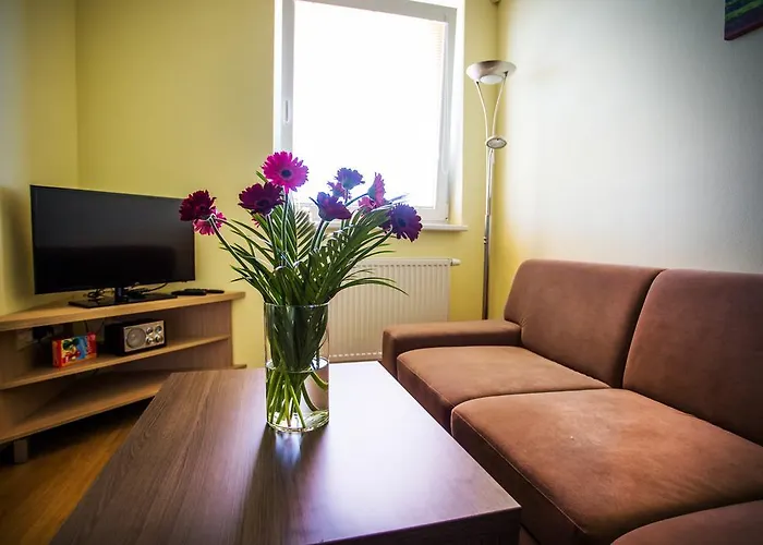 Vendelin בויניצה